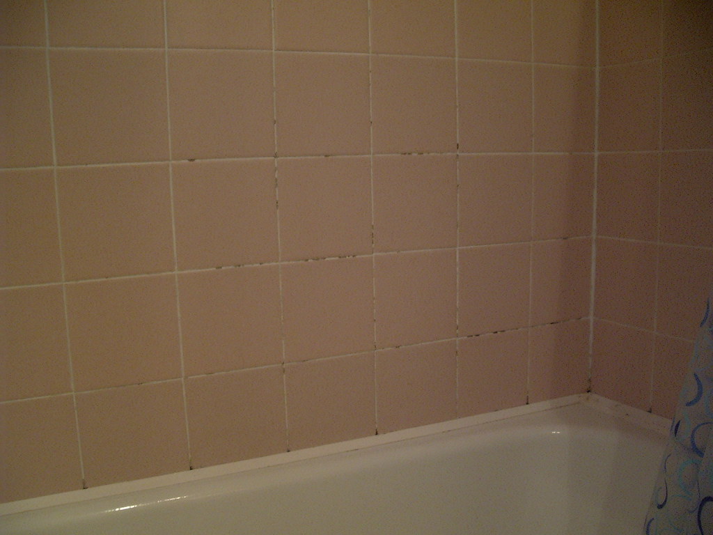 mould removal in bathrooms