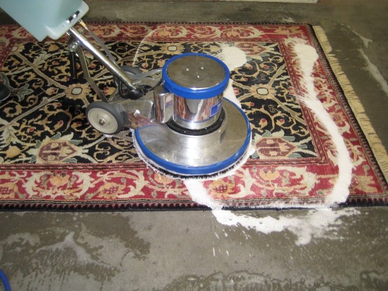 Restoration from Mould of Carpet